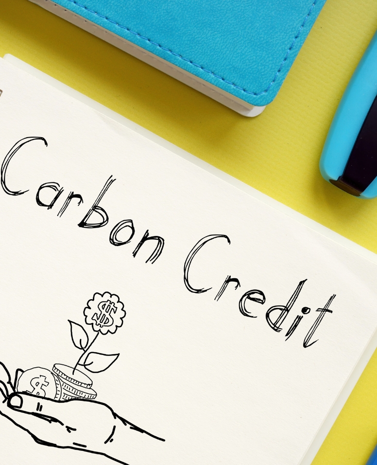 AI研發帶動科技巨頭搶購　優質碳權價格飆4倍