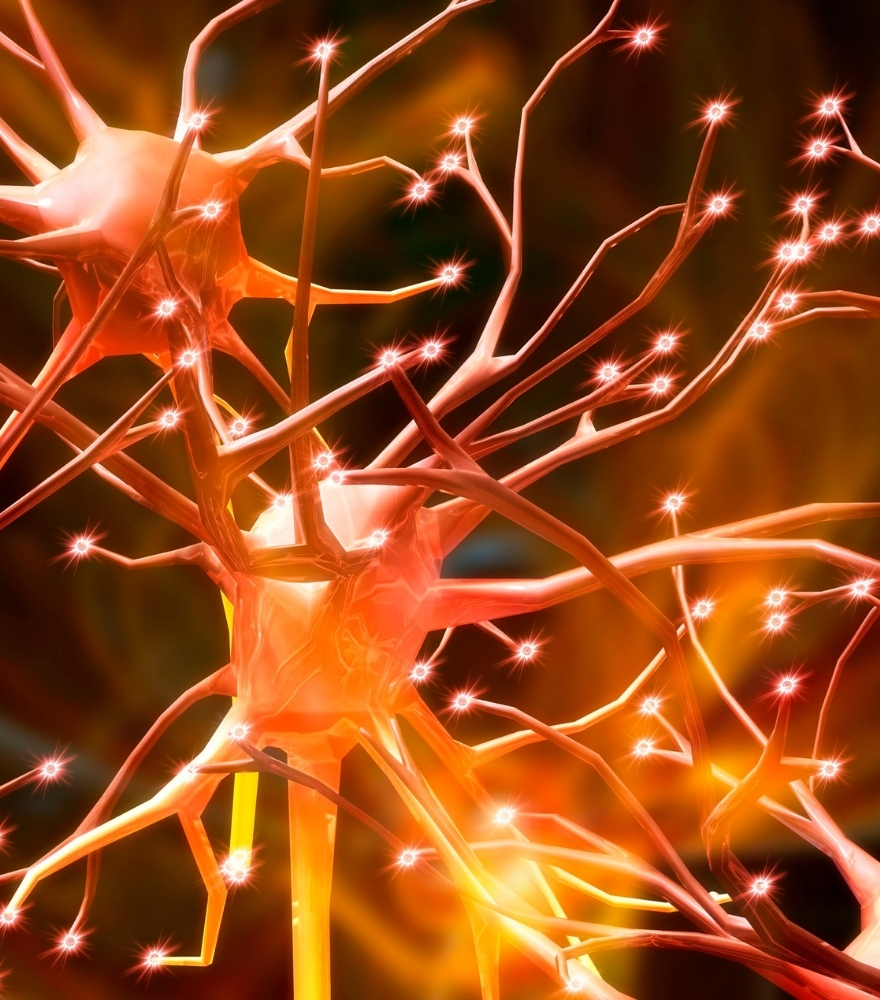 IEKView：神經調控治療 醫學新戰場 透過電刺激或其他能量形式 監測控制大腦活動